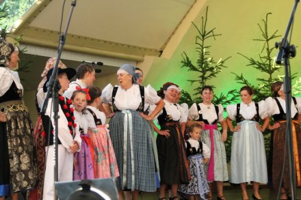 Występy w Amfiteatrze